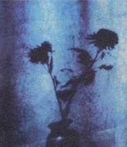 青い影／花瓶の花.jpg